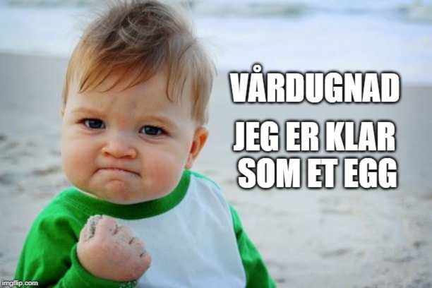 Vårdugnad
